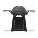 Weber Q 2800N+ w/Cart 2 Burner Grill