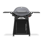 Weber Q 2800N+ w/Cart 2 Burner Grill